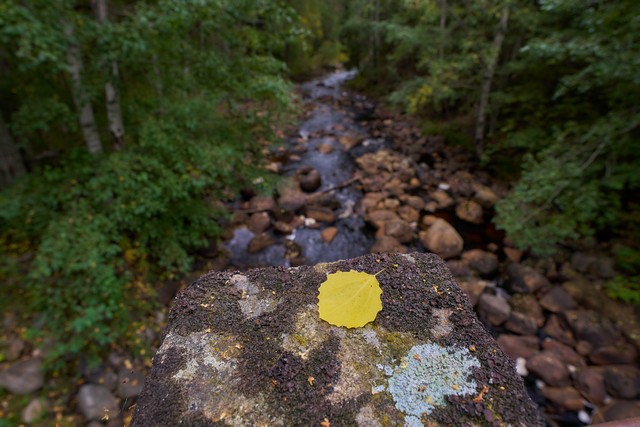 Sigma 12mm f1.4 C_10w.jpg