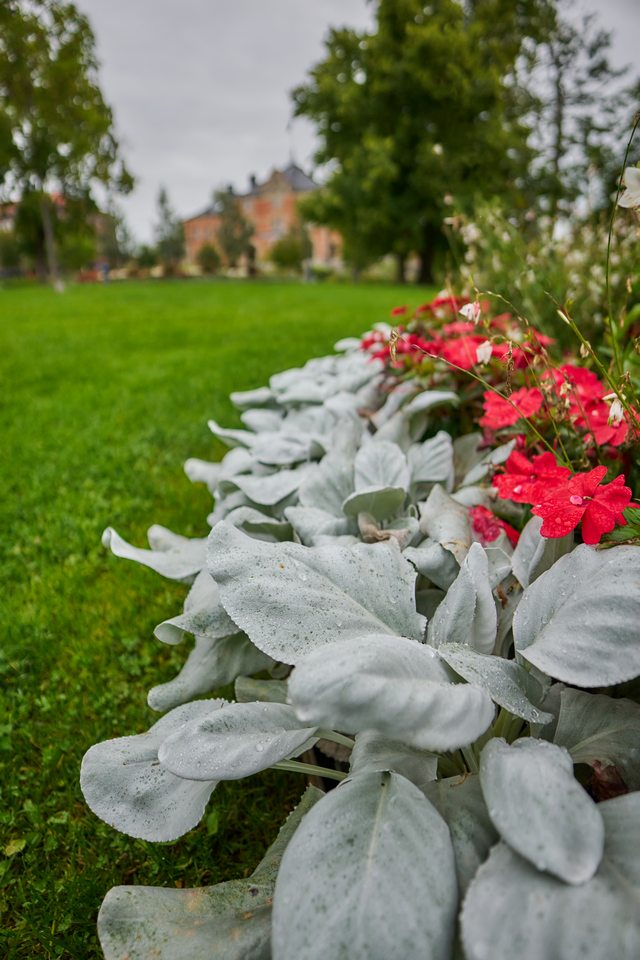 Sigma 12mm f1.4_7w.jpg