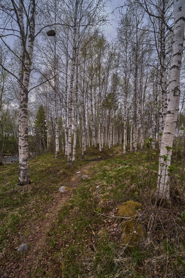 Samyang 14-24mm f2.8_25w.jpg