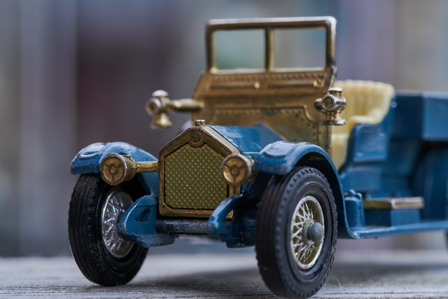 Sony 100mm f2.8 Macro_27w.jpg