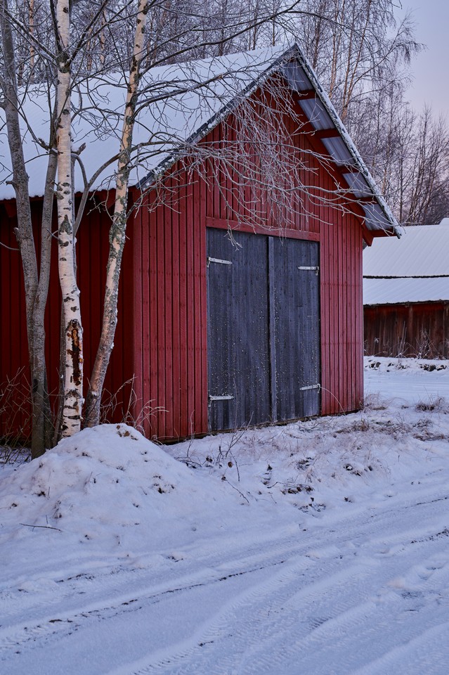 NikonZ DX 16-50mm f2.8_1w.jpg