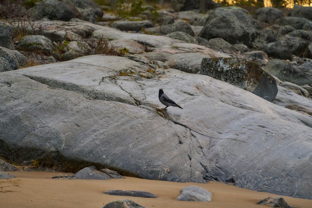 Tamron 25-200mm_22w.jpg