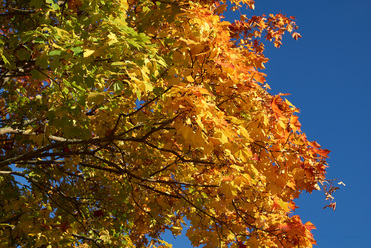 L1001346w.jpg