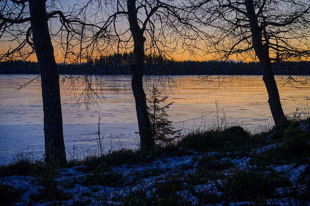 Nikon Z DX MC 35mm f1.7_22w.jpg