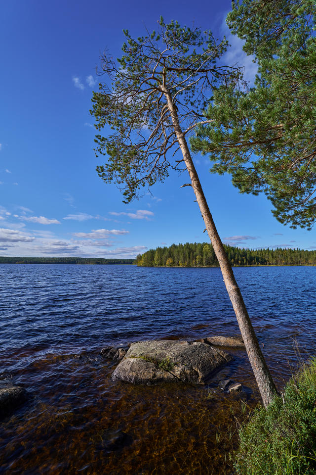 Samyang 16mm f2.8_25w.jpg