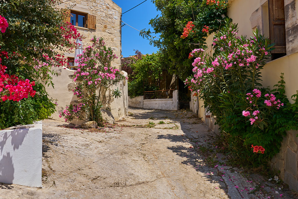 Sigma 23mm f1.4_blogg2.jpg