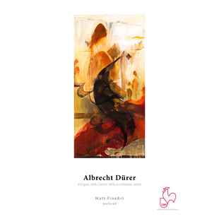 Albrecht Dürer 210g 24" x 12m 