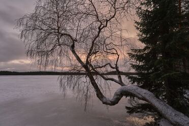 Sony A7 V_blogg1.jpg