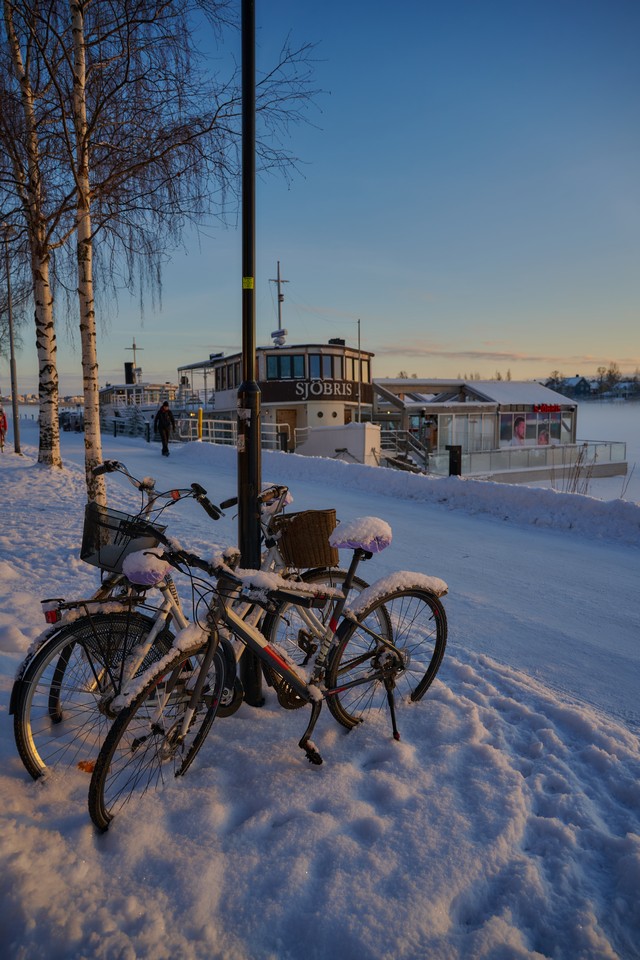 Nikon Z 24-105 f4-7.1_9w.jpg