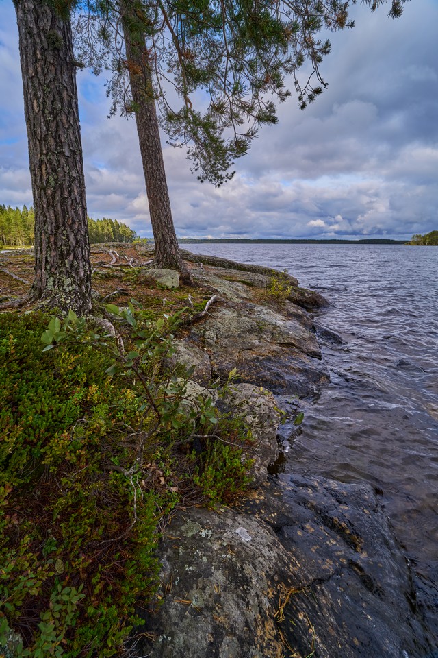 Samyang 16mm f2.8_24w.jpg