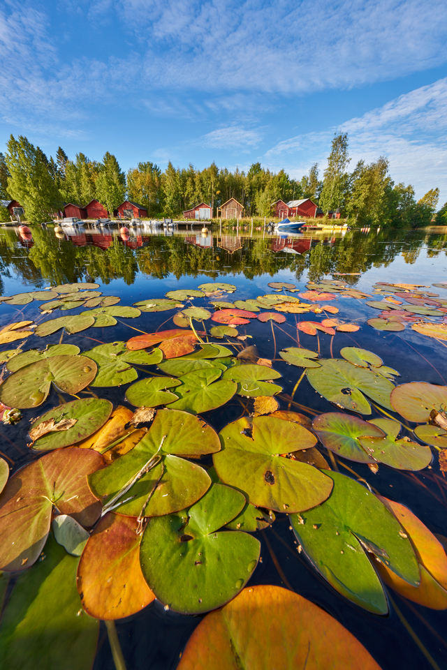 Tamron 12-20mm f2.8_29w.jpg
