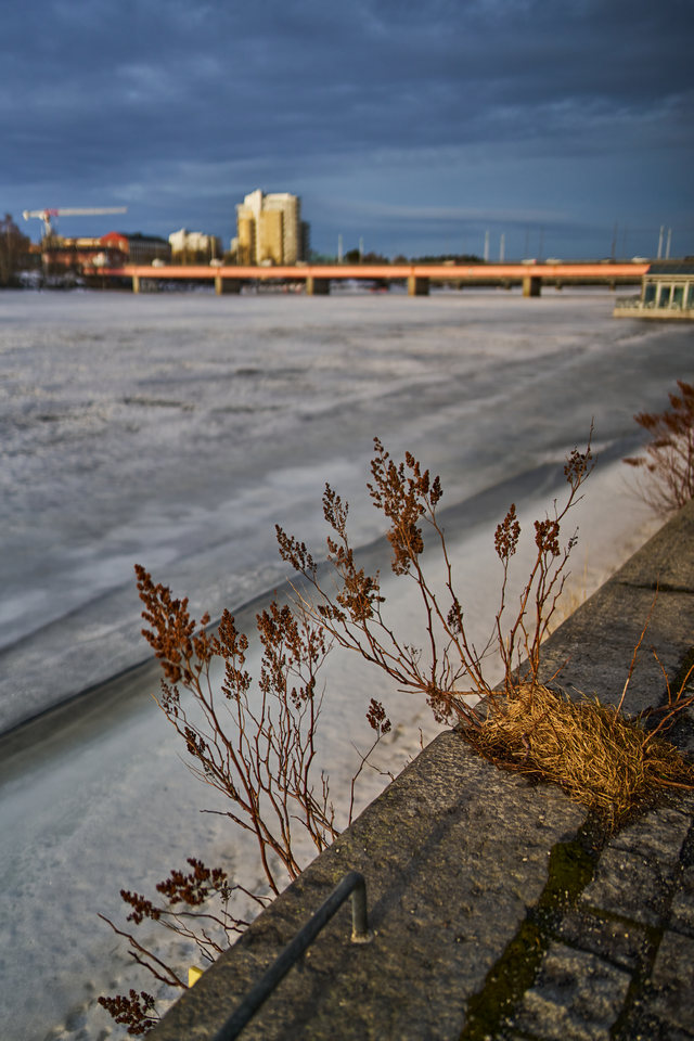 Laowa 28mm f1.2_28f12w.jpg