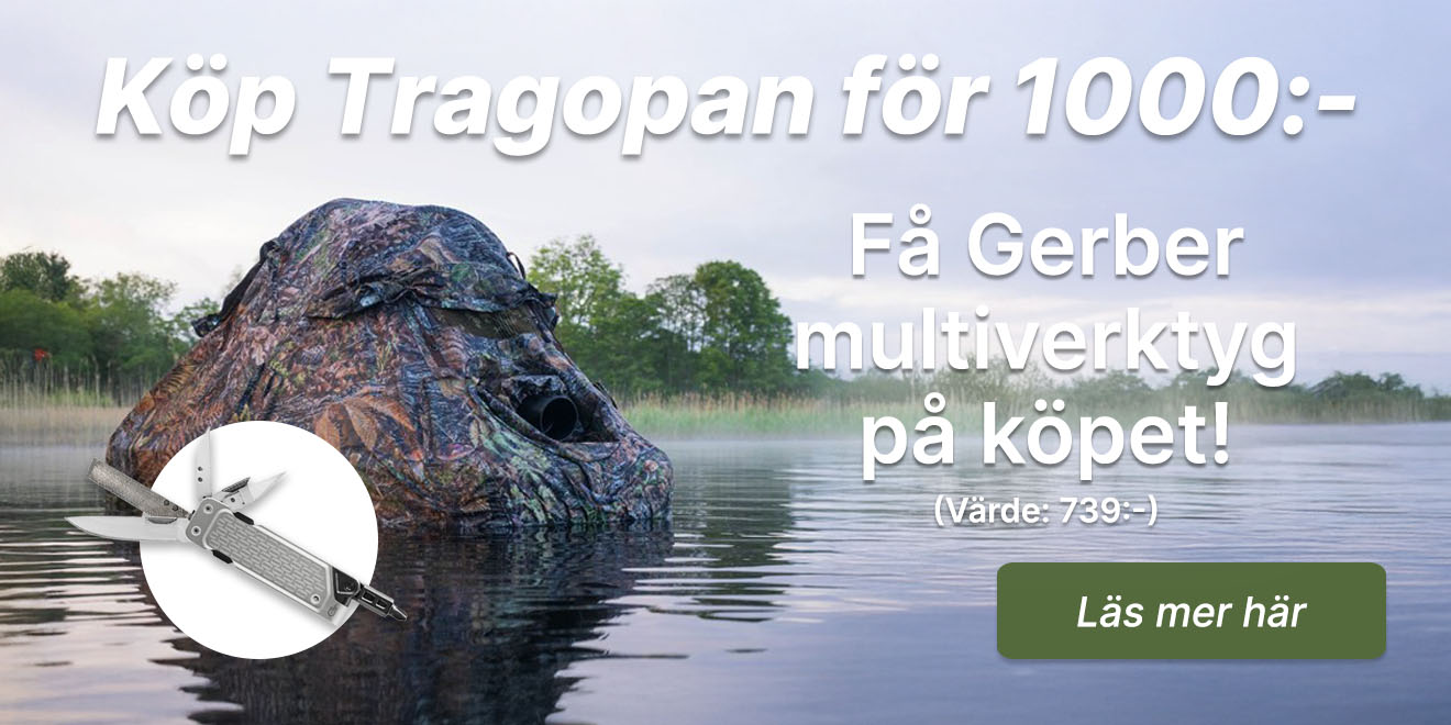 tragopan_på köpet.jpg