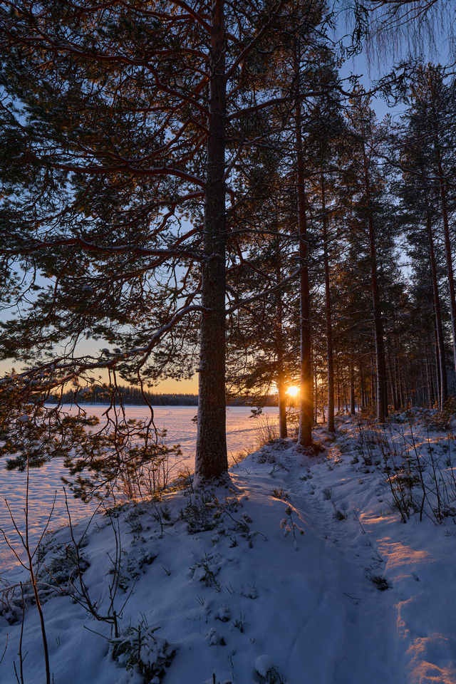 Panasonic S1 MK2_8w.jpg