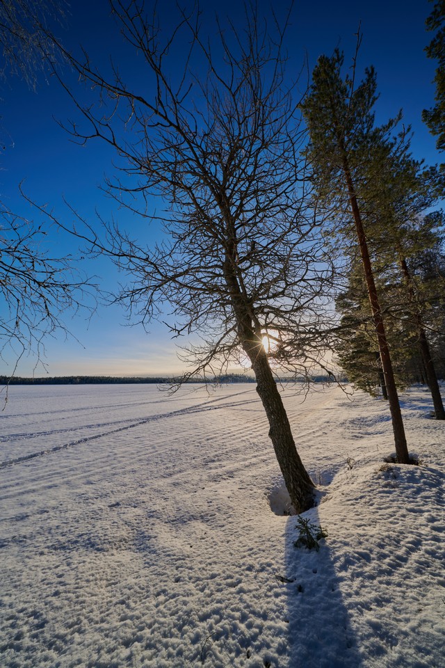 Laowa 10mm f2.8_22w.jpg