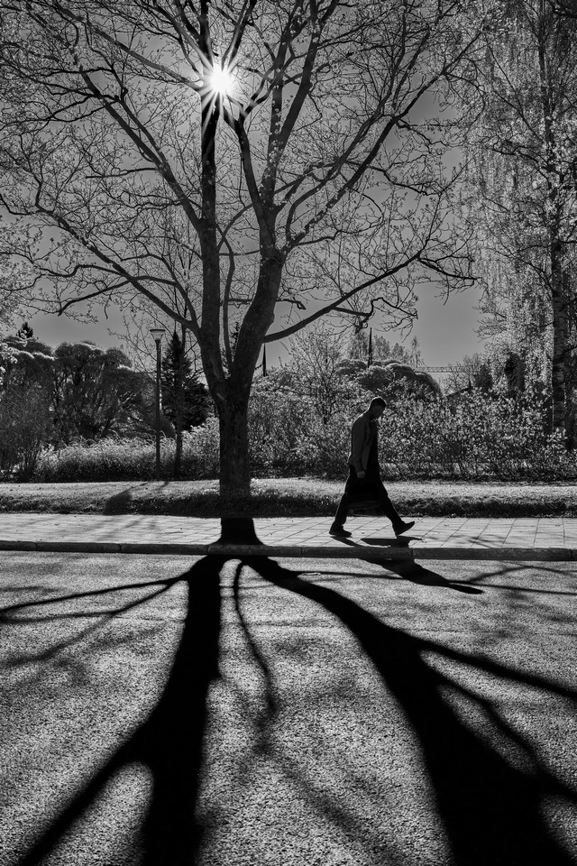 Samyang 35mm f1.8 P_21w.jpg