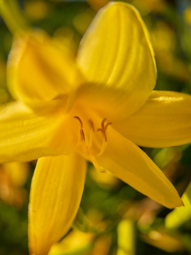 Panasonic Lumix DC L10_31w.jpg