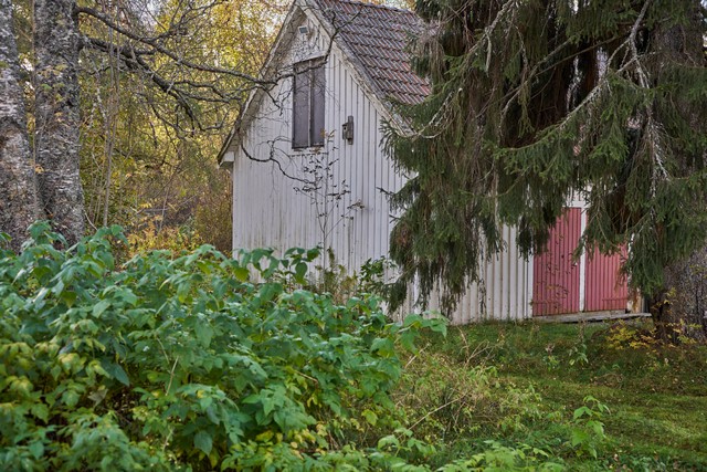 Voigtländer 50mm f1.2_25w.jpg