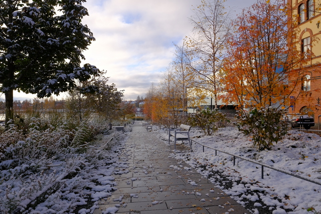 Fujifilm_X Pro 3_16w.jpg