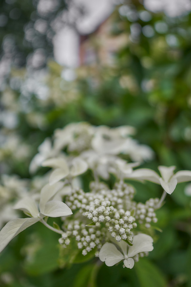 Sigma 12mm f1.4_8w.jpg