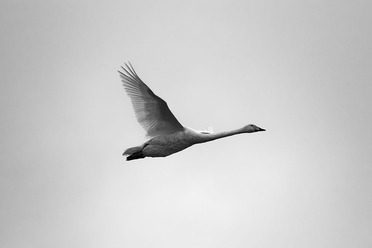 Tamron50-400test_blogg1.jpg