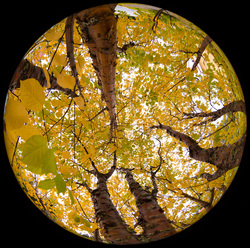 DSCF2504w.jpg