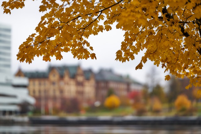 Sigma 135mm f1.4_16w.jpg