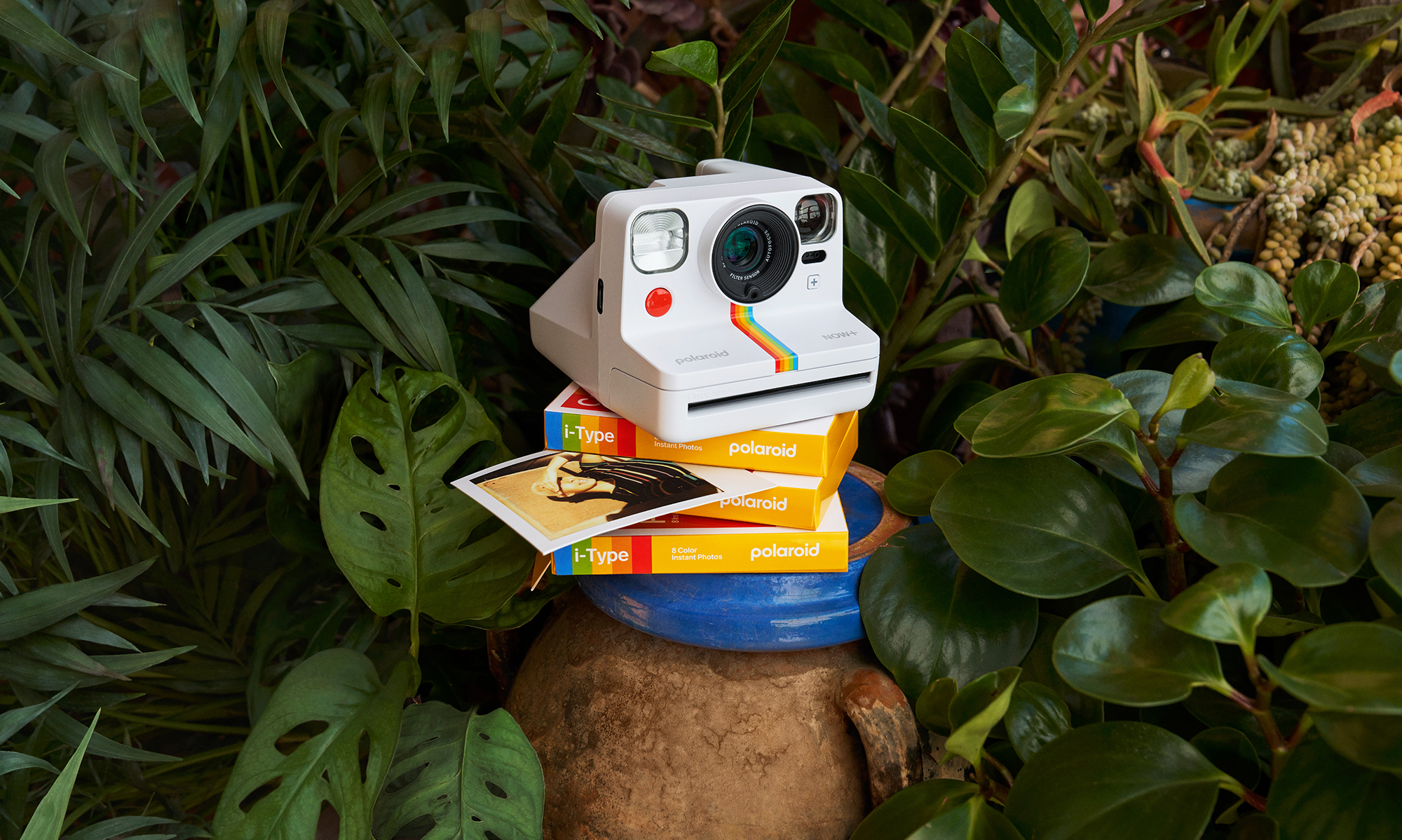 polaroid_1.jpg