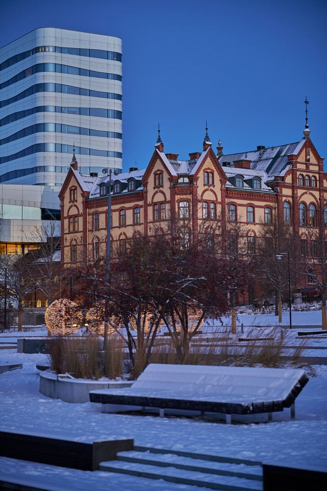 Viltrox 85mm f2 EVO_13w.jpg