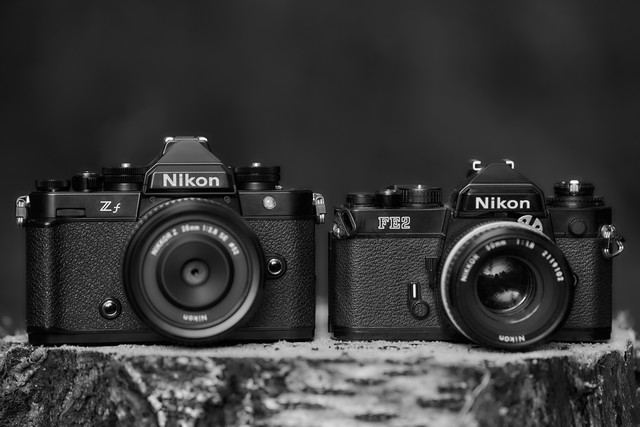 Nikon Zf_1.jpg