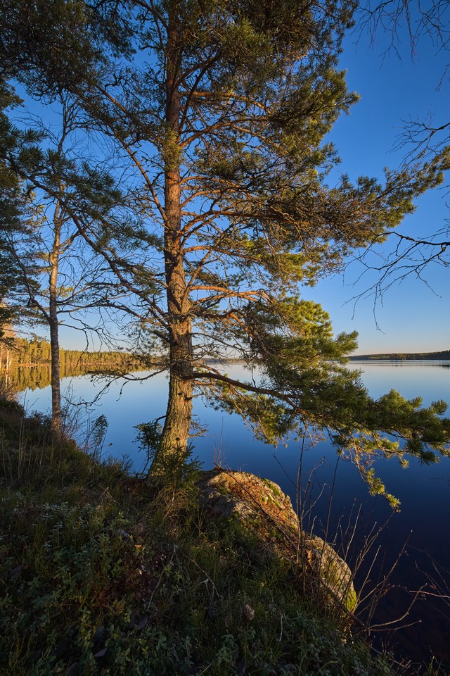 Canon EOS R6 Mark III_16w.jpg