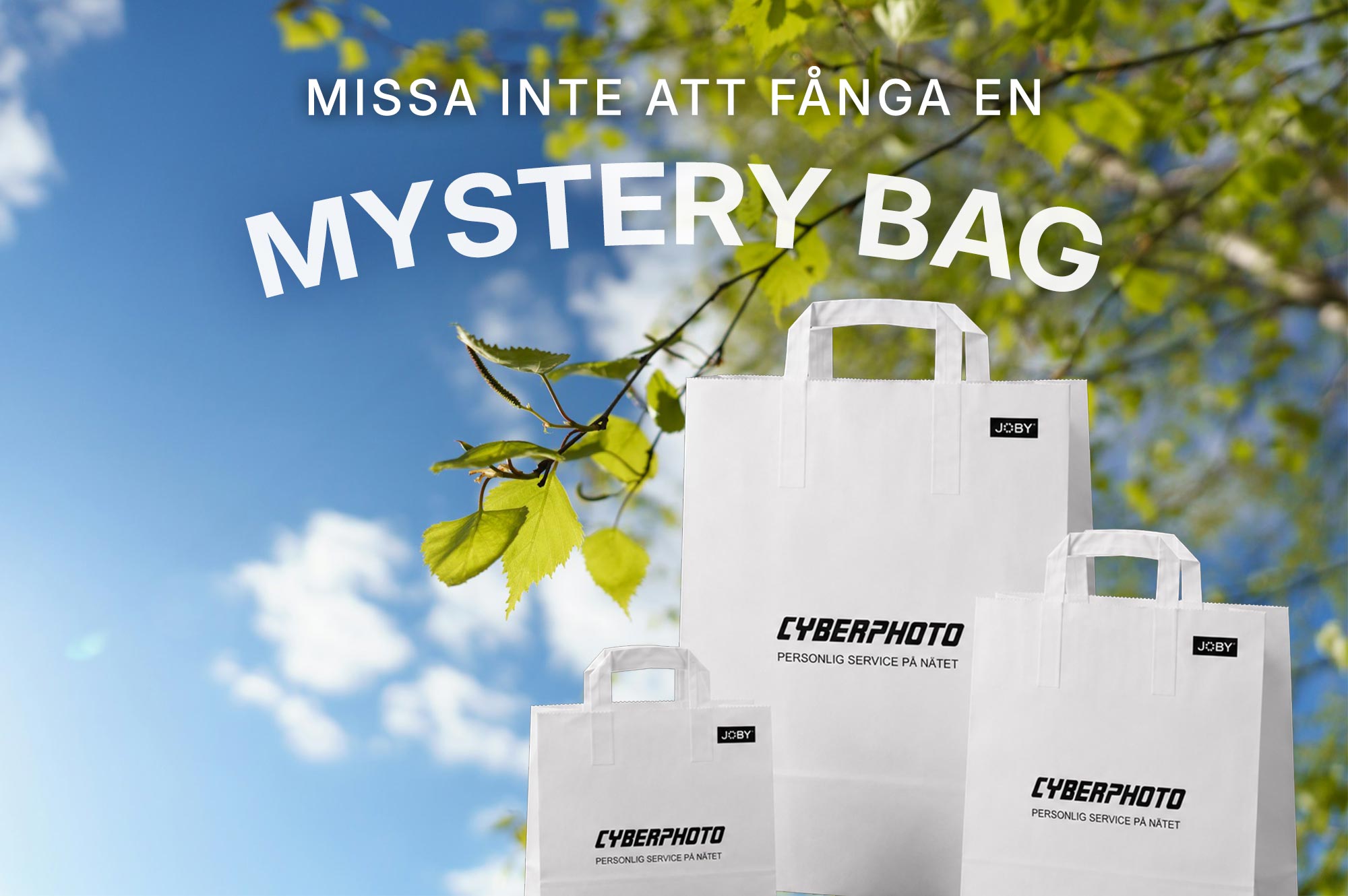 mystery_bag_blogg.jpg