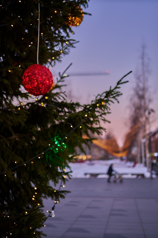 Viltrox 50mm f1.8_22w.jpg
