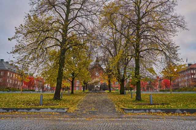 Sigma 35mm f1.2 II_24w.jpg