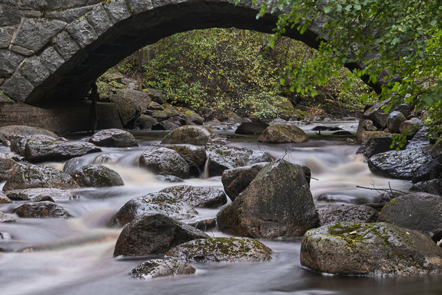 Sony RX 10 V_55w.jpg