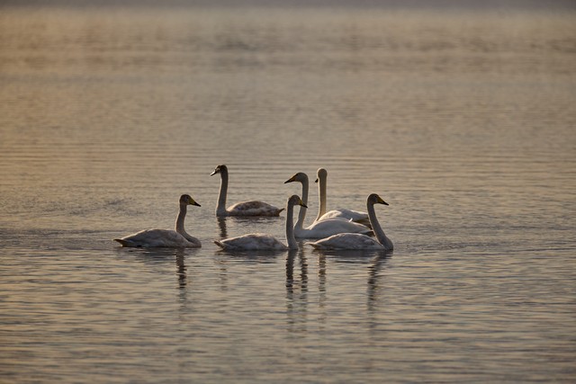 Panasonic S 100-400mm_5w.jpg