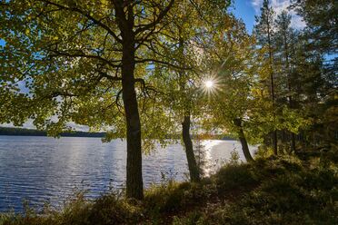 Sigma 20-200mm DG C_blogg1.jpg