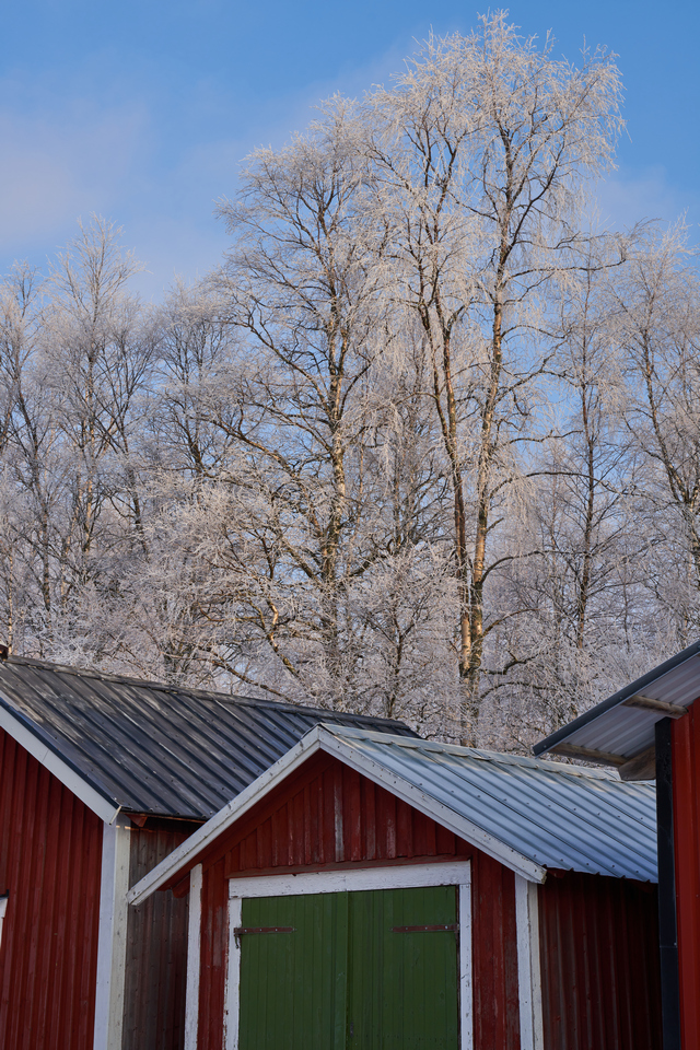 Samyang 24-70 f2.8_23w.jpg