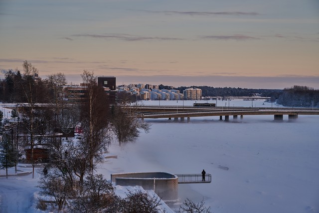 Nikon Z 24-105 f4-7.1_12w.jpg