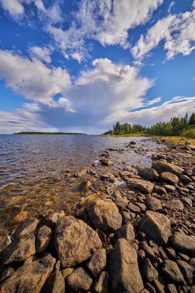 Laowa 12mm f2.8 Lite Zero-D FF_12w.jpg