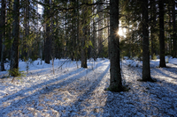 Test: Fujifilm Fujinon XF 16/2,8 R WR svart