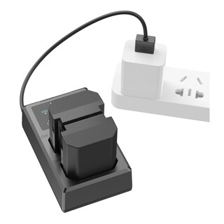 3824 NP-FZ100 Battery & Charger Kit