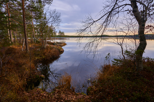 tokina_opera_16 28_20w.jpg