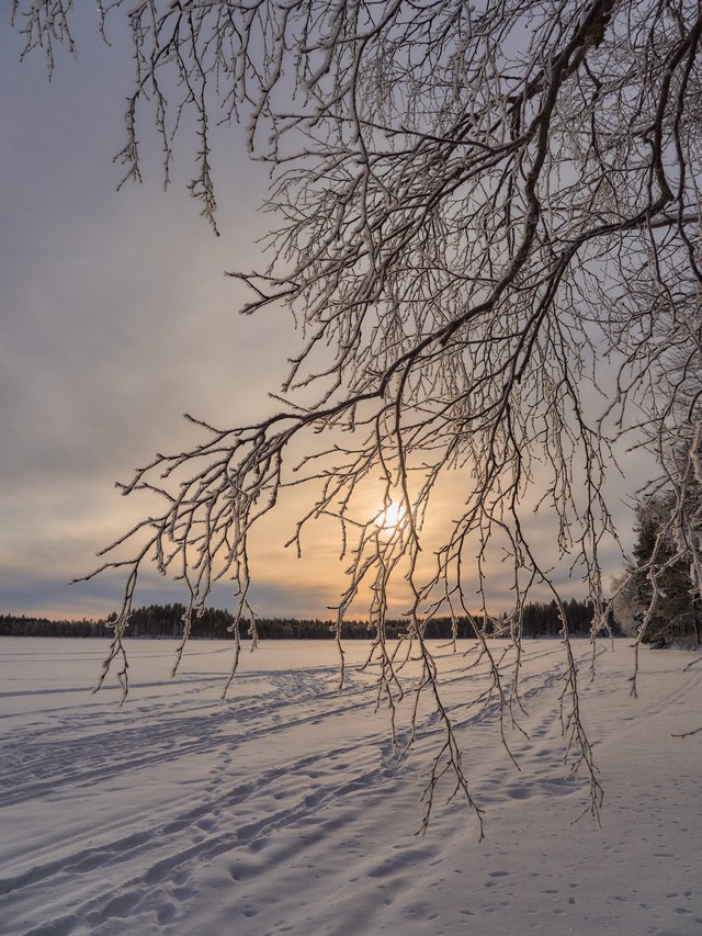 OM System OM 5 II_22w.jpg