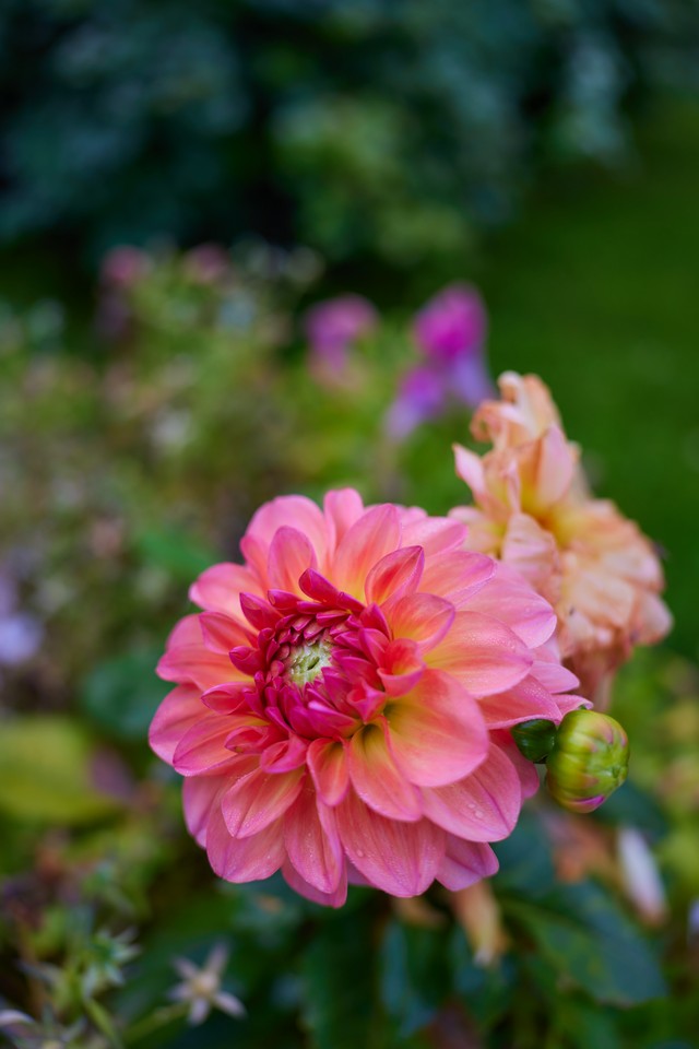 Canon RF 28mm f2.8_14w.jpg