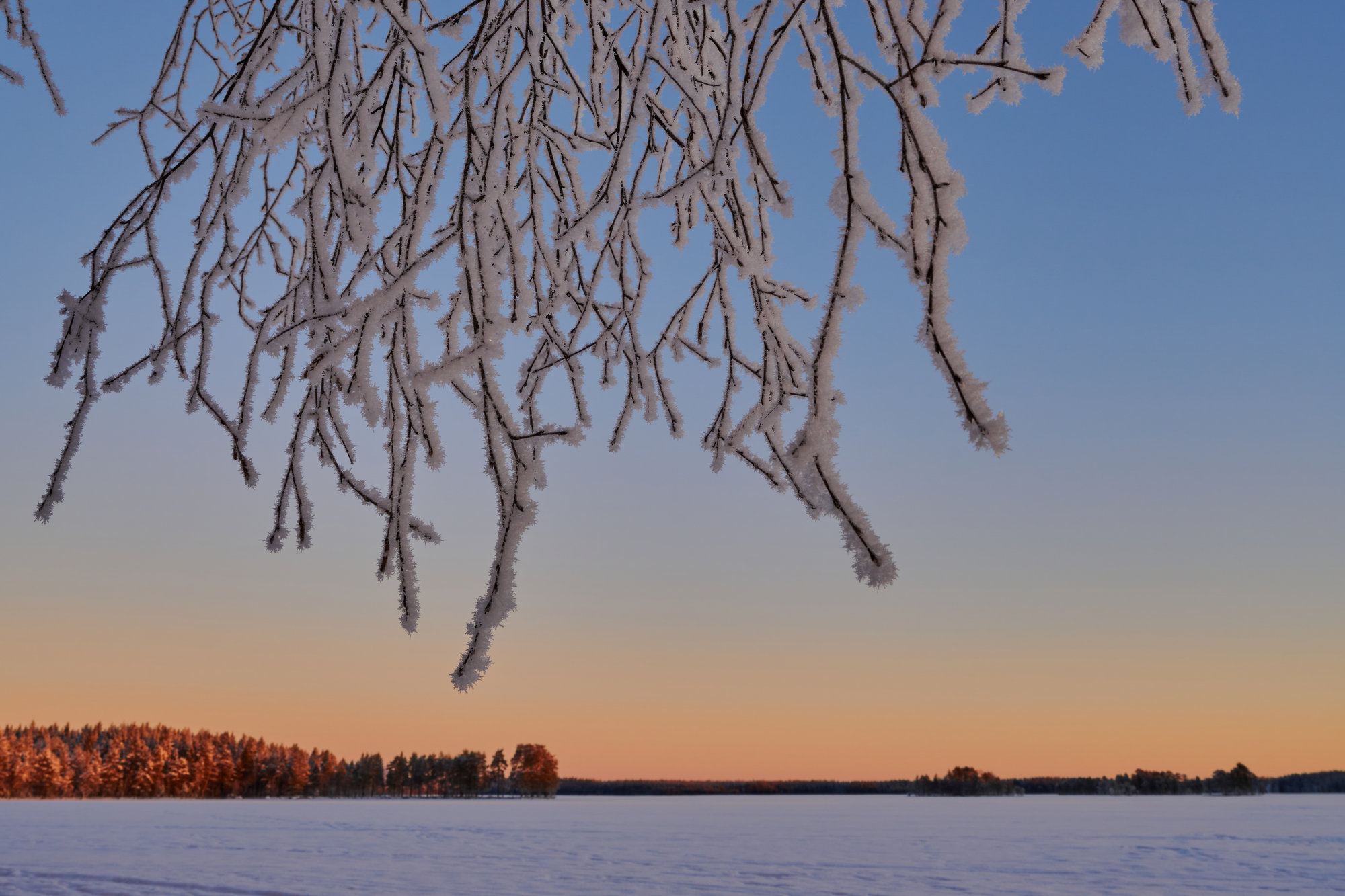 Nikon Z 24-105 f4-7.1_blogg1.jpg