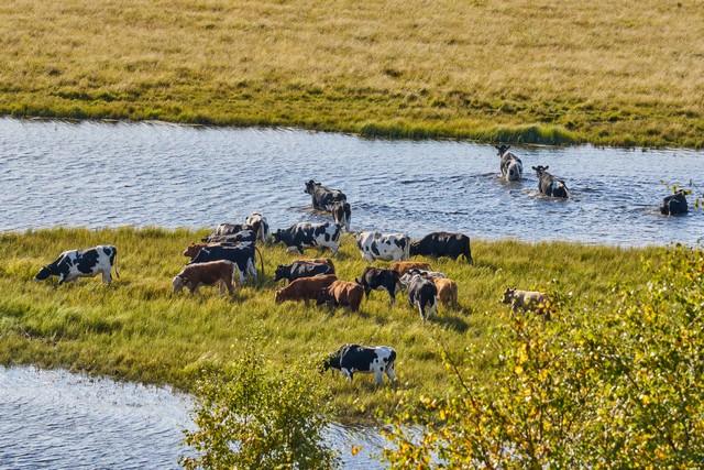 Sony FE 100-400 f5.6_f8 OSS_9w.jpg