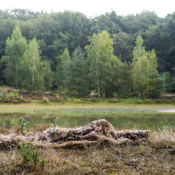 Camouflaguenät Beige/ljusbrun, Reed 4x1,5m