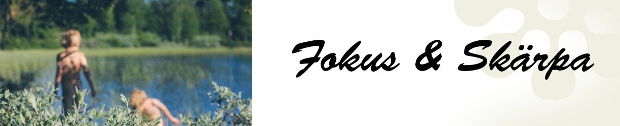 fokus.jpg