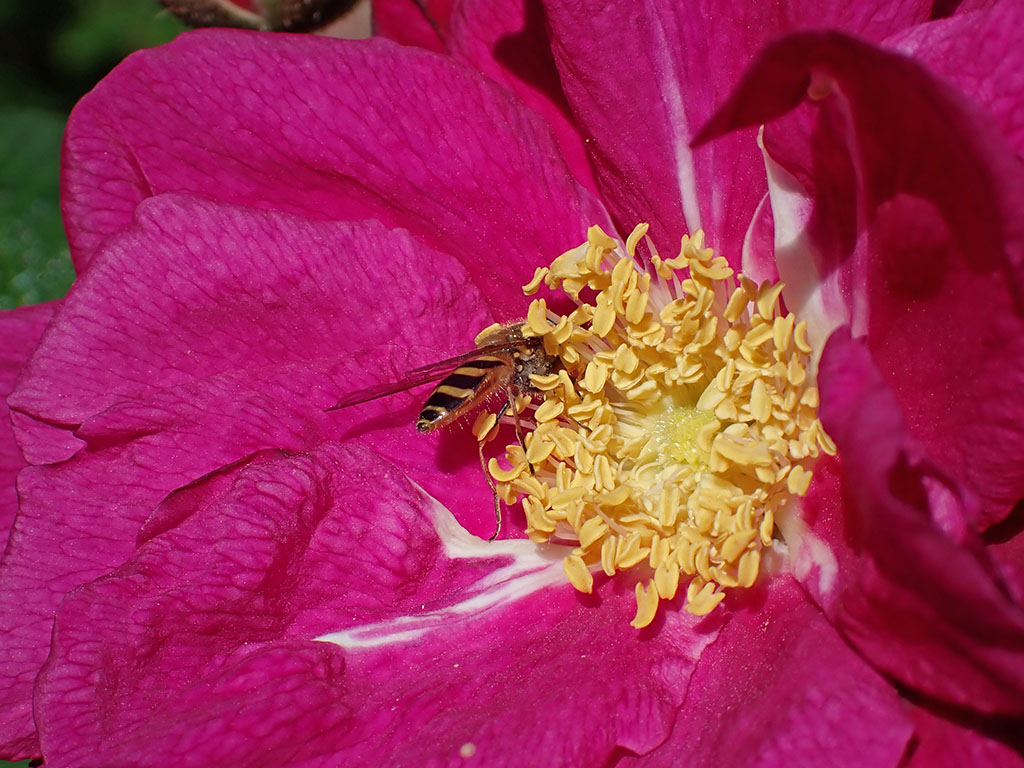 P9170191_edit.jpg